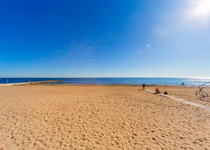 Alegria Ed. Orbiplaya